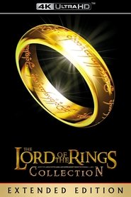Poster image size 2000x3000