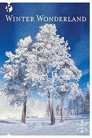 Winter Wonderland