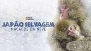 Destination Wild: Les macaques japonais wallpaper 