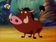 Timon et Pumbaa season 1 episode 23