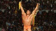 WWE WrestleMania VI wallpaper 