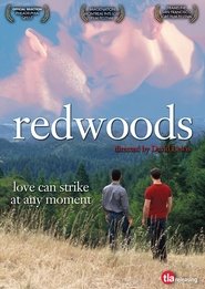 Poster of Redwoods image size 1000x1411