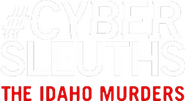 Logo of #CyberSleuths: The Idaho Murders image size 1300x709