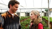 serie Veronica Mars saison 1 episode 9 en streaming