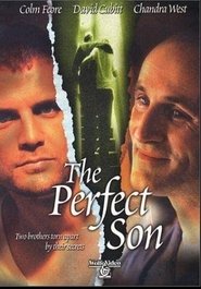 poster The Perfect Son