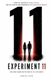 Experiment 11 poster