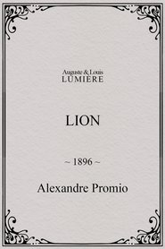 poster Lion, London Zoological Gardens
