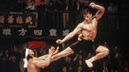 Bloodsport, tous les coups sont permis wallpaper 