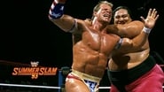WWE SummerSlam 1993 wallpaper 