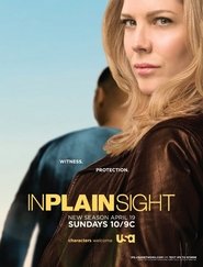 Poster of In Plain Sight image size 640x840
