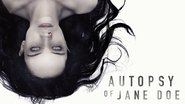 Backdrop of The Autopsy of Jane Doe image size 1920x1080