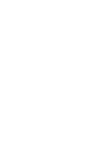 Logo of Life After Life image size 718x1250