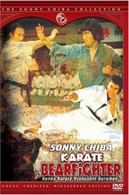 poster Karate Bear Fighter