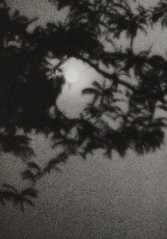 Moonplay