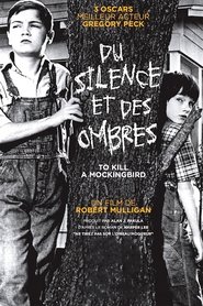 Voir film Du silence et des ombres en streaming