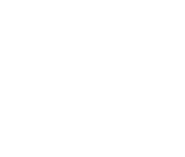 Logo of Agent Elvis image size 251x213