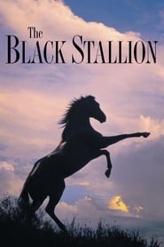 The Black Stallion 1979 123movies