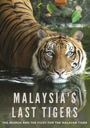 Malaysia's Last Tigers