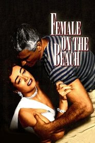 Poster of Female on the Beach image size 1000x1500