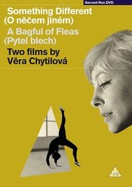 Poster of A Bagful of Fleas image size 705x1000