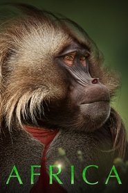 Poster of Africa image size 2000x3000