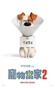 寵物當家2(2019)流電影高清。BLURAY-BT《The Secret Life of Pets 2.HD》線上下載它小鴨的完整版本 1080P