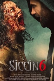 Film Siccîn 6 en streaming