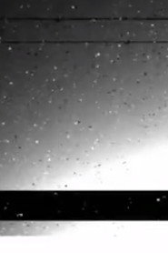 Black Rain