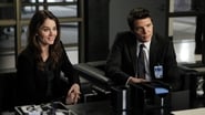 Mentalist season 6 episode 21