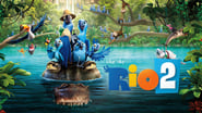 Rio 2 wallpaper 