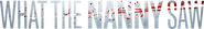 Logo of What The Nanny Saw image size 1782x263