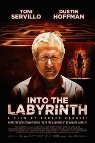 Poster of Into the Labyrinth image size 500x750