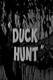 Duck Hunt poster
