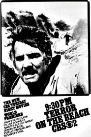 Poster of Terror on the Beach image size 500x750