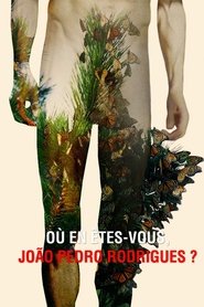 poster Where Do You Stand Now, João Pedro Rodrigues?