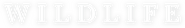 Logo of Wildlife image size 1936x295