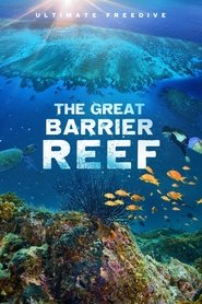 Poster of The Great Barrier Reef image size 1000x1500