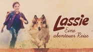 Lassie : La route de l'aventure wallpaper 