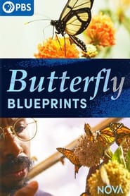 Butterfly Blueprints 2022 123movies