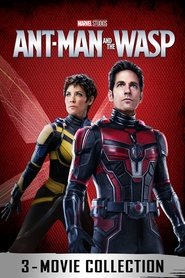 Poster image size 800x1200
