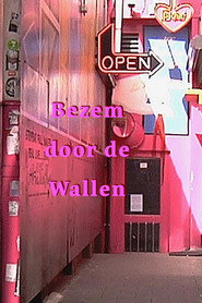 Bezem door de wallen