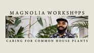 Magnolia Workshops: Caring for Common Houseplants  