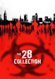 Poster image size 1000x1426