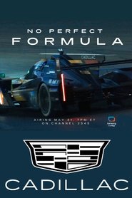 poster No Perfect Formula