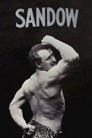 Sandow Poster