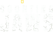Logo of Counting Jaws image size 3529x2152