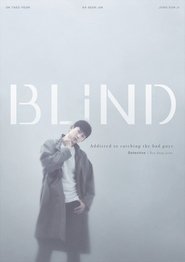 Poster of Blind image size 850x1204