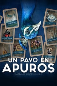 Un pavo en apuros Película Completa 1080p [MEGA] [LATINO] 2023