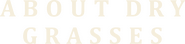 Logo of About Dry Grasses image size 1238x295