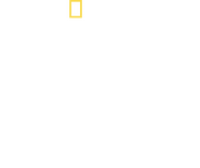 Logo of Shark Attack Files image size 1548x1300